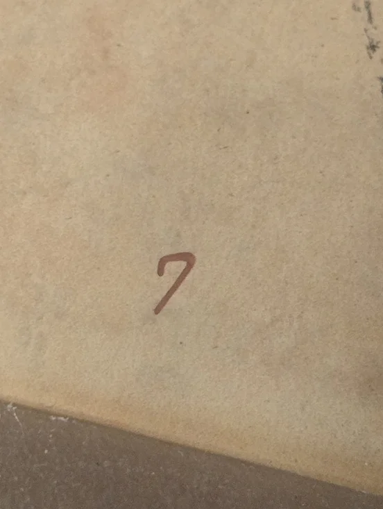 Sam Edelman Nude Ballet Flats with Bow - Picture 12 of 13